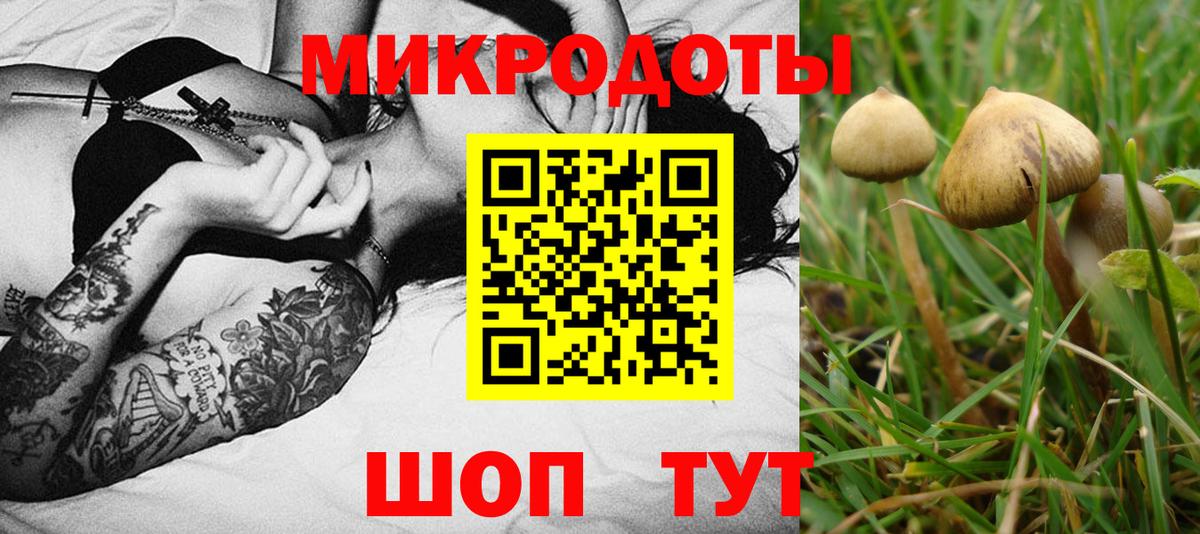 Галлюциногенные грибы MAGIC MUSHROOMS Белогорск
